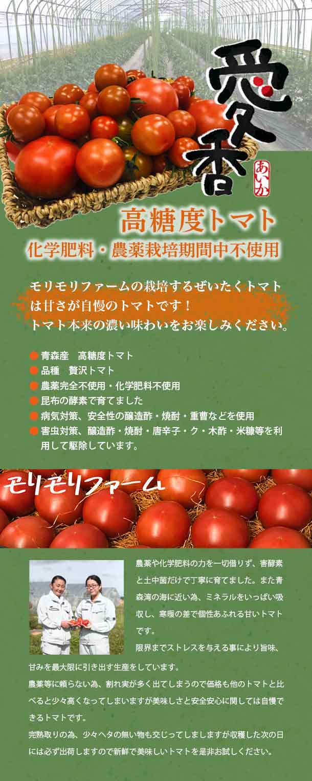 スノーブルー 海水栽培 高糖度トマト 大分県産 4kg - 通販