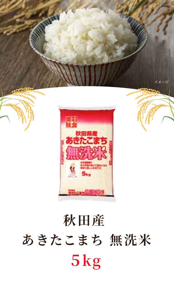 令和5年産「秋田県産 あきたこまち 無洗米」5kg×4袋の通販｜Kuradashi