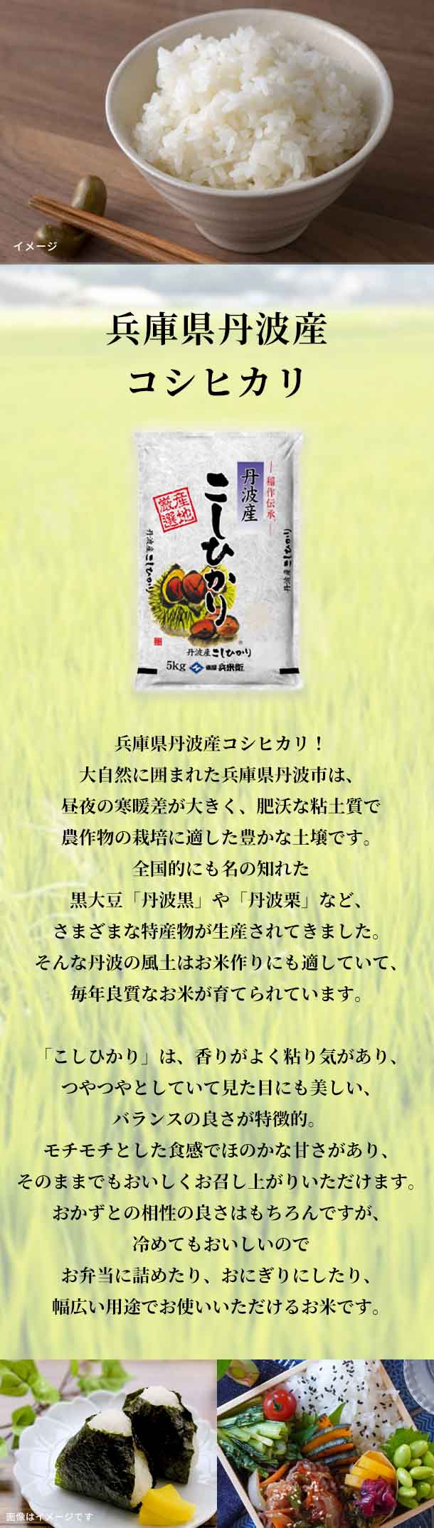 新米「兵庫県丹波産コシヒカリ」5kg×1袋の通販｜Kuradashiでフードロス・食品ロス削減！