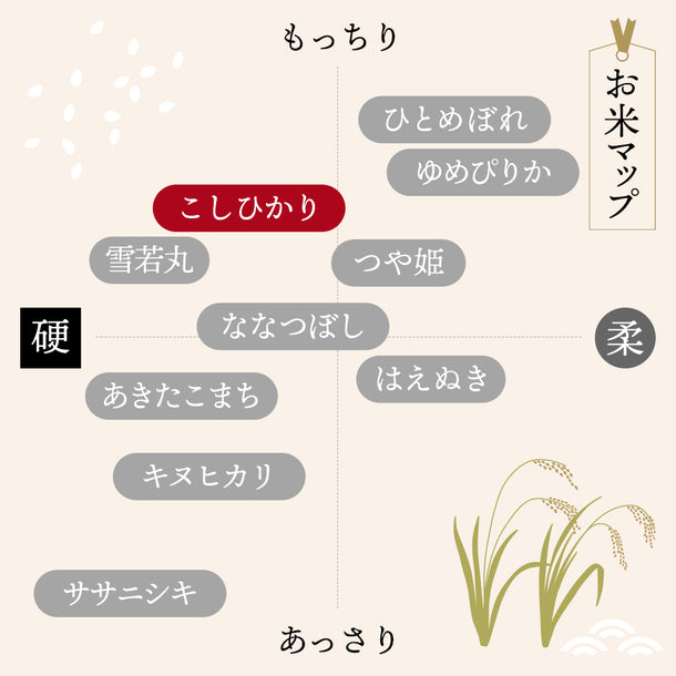 令和5年産＜新米＞山形県産　こしひかり」5kg×2袋の通販｜Kuradashiでフードロス・食品ロス削減！