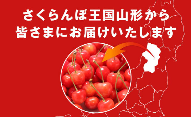 山形県産「秀品さくらんぼ佐藤錦」約700g（350g×2パック）