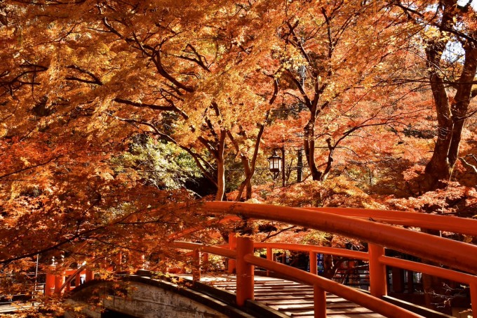 伊香保温泉 紅葉