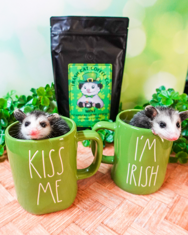 trash cat coffee mint baby opossums rae dunn kiss me i'm irish coffee mugs green