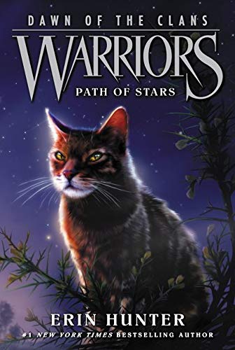 Warriors: A Starless Clan #5: Wind by Erin Hunter, Hardcover