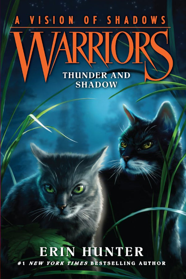 Warriors # 5: A Dangerous Path by Erin Hunter – Basically Books