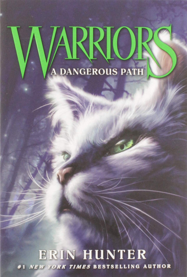 Warriors: Rising Storm (The Prophecies Begin Book #4) by Erin Hunter –  nerdnookbooks