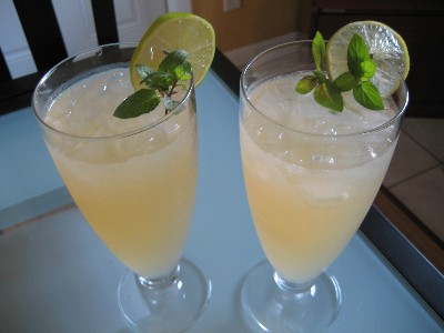 Citrus Mint Sparkler Mocktail