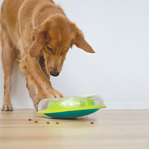 DOG SPIN N´ EAT - DOG PUZZLE & FEEDER IN ONE - Nina Ottosson Treat