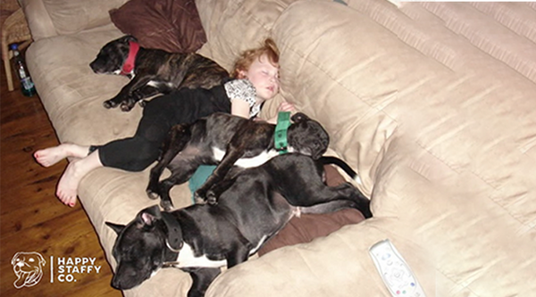 INTRODUCING YOUR STAFFY TO KIDS (DEBUNKING THE MYTH)
