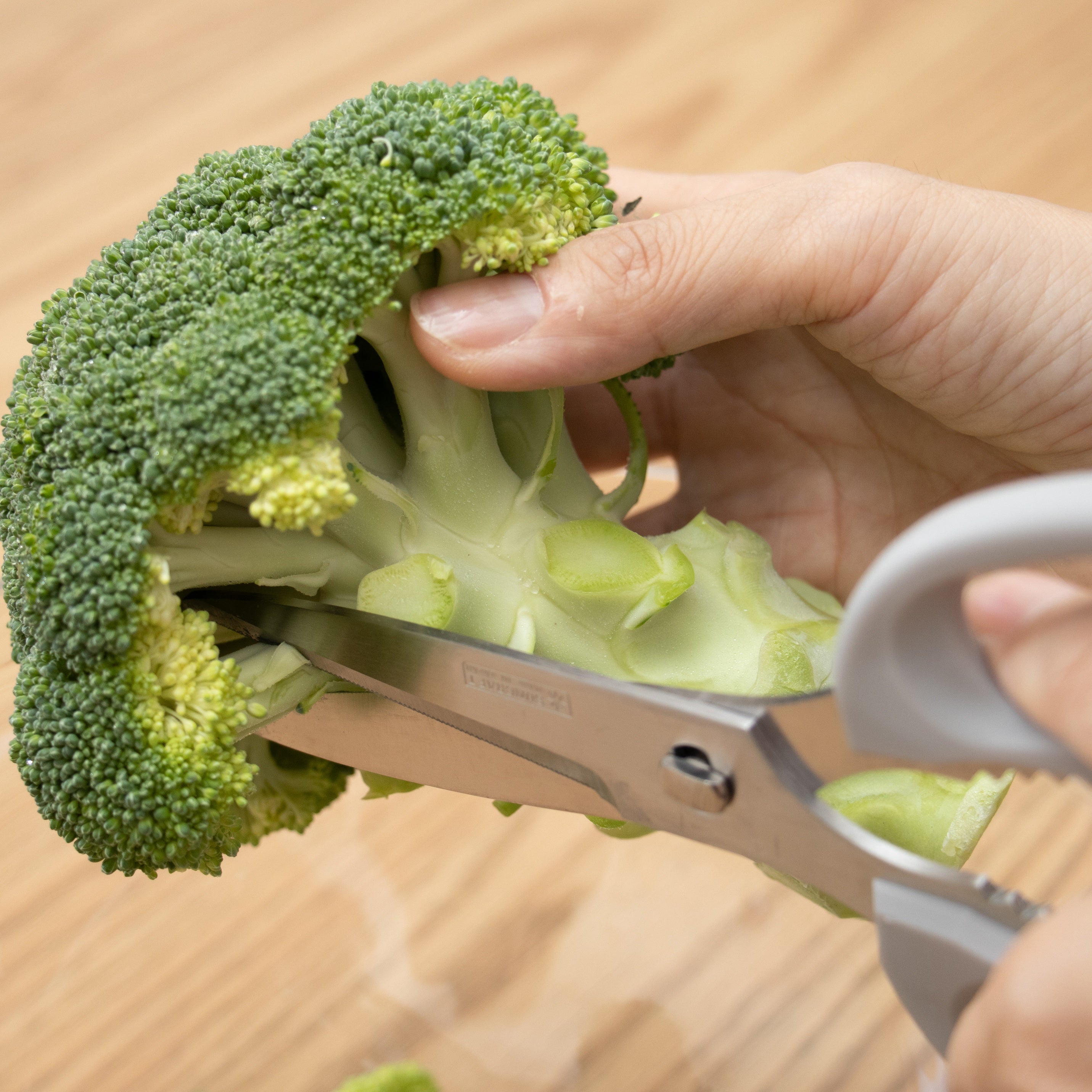 Cutting broccoli with SUNCRAFT Easy-Clean Kitchen Shears, Left-Handed