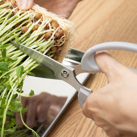 Left-handed kitchen shears cutting sprouts