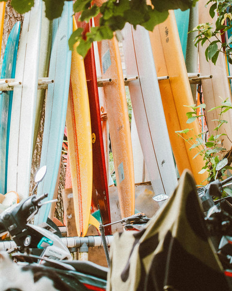 Surfboards in a rack