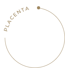 PLACENTA