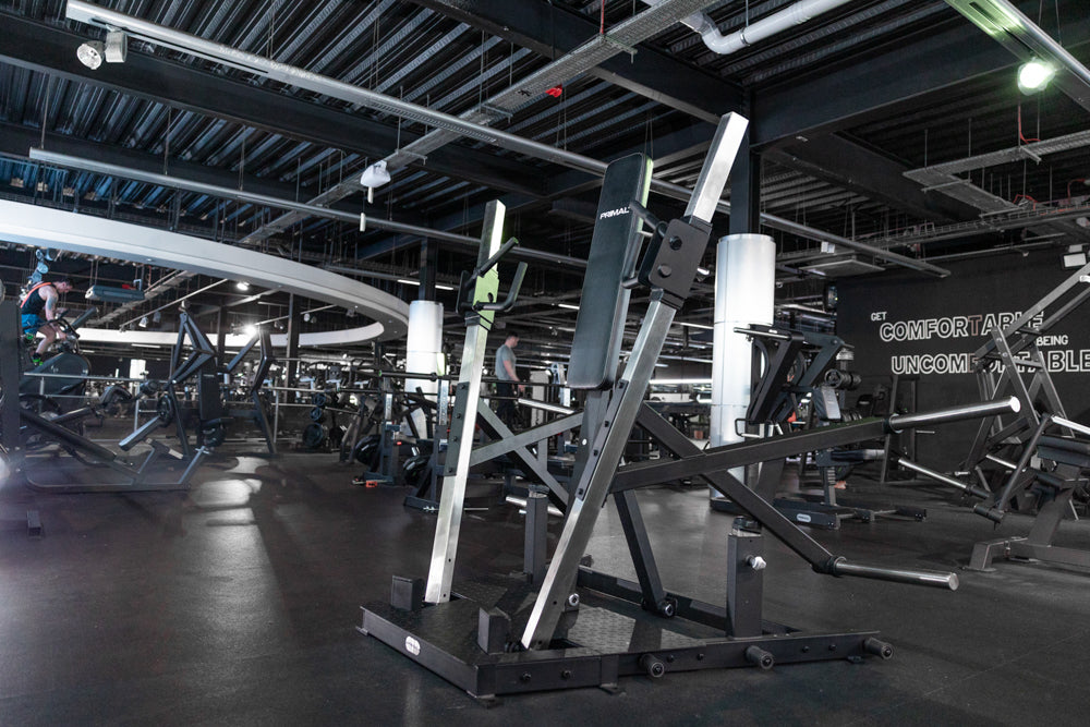 Standing Chest Press