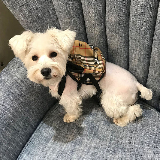 Chewy Designer Dog Backpack+Harness – SchnauzerCouture