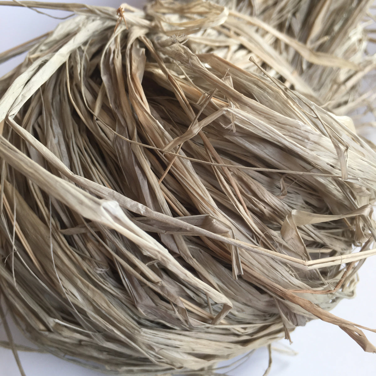 GREENGERS - FICELLES DE JARDINAGE, RAFFIA NATUREL 50 BRINS, RAPHIA JARDIN  50 BRINS, 50G DE FICELLE NATURELLE 