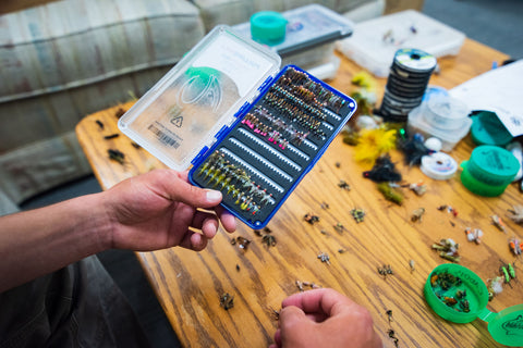 Organizing flies