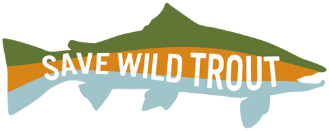 Save Wild Trout