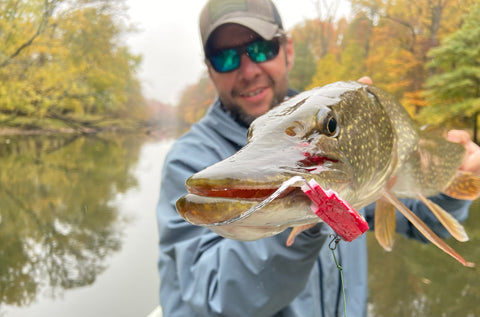 A large pike caught in the fall while wearing the Carbon Jacket. 