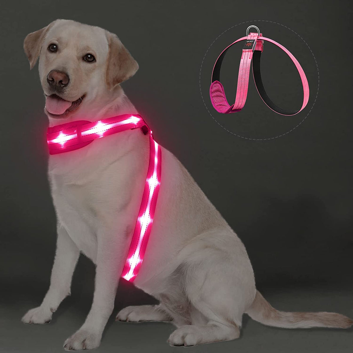 Honger Kilimanjaro Verhandeling PZRLit LED Light Up Dog Vest Harness Rechargeable, Soft Padded, Adjust -  thedogcastle