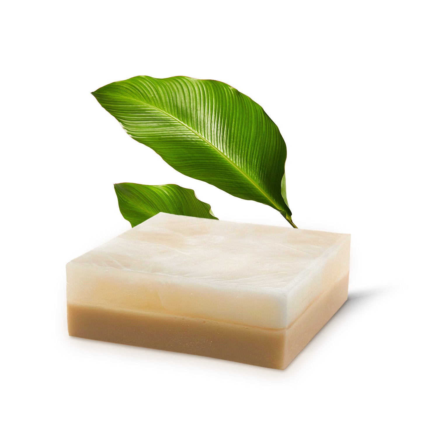 Pina Colada Soap