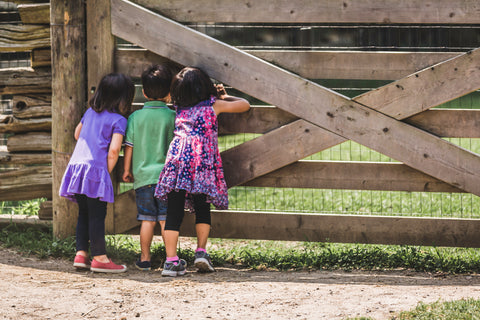 Enfants qui jouent en pleine conscience dans la nature