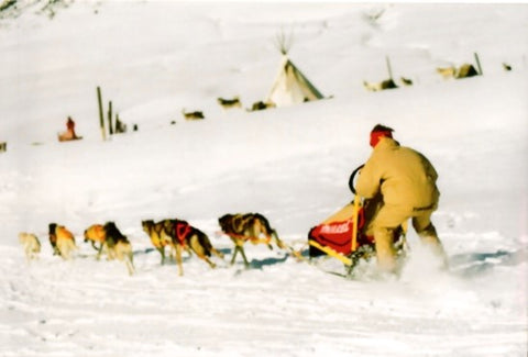 Fumarel mushing