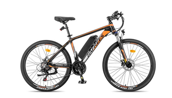 top electric mountain bike: fafrees hailong one