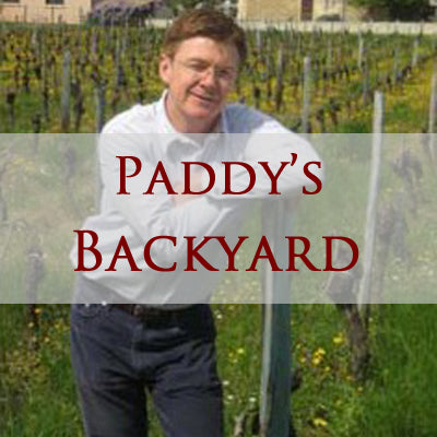 Paddy O Flynn standing in a vineyard in St Emilion France