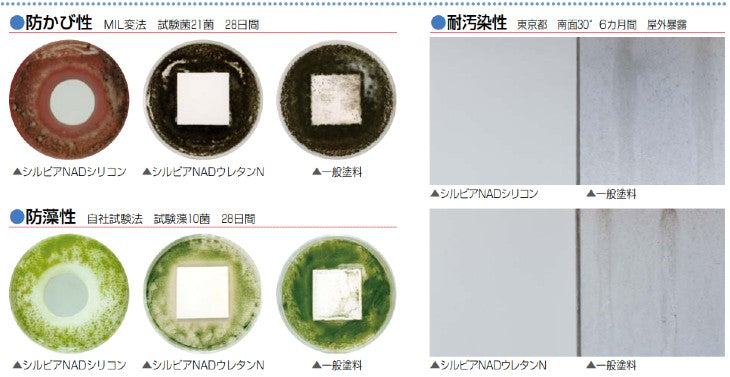 シルビアNADシリコン弾性 塗膜性能