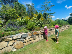 pebbly path family holiday to husk farm distillery & restaurant & cellar door in byron bay hinterland with kids