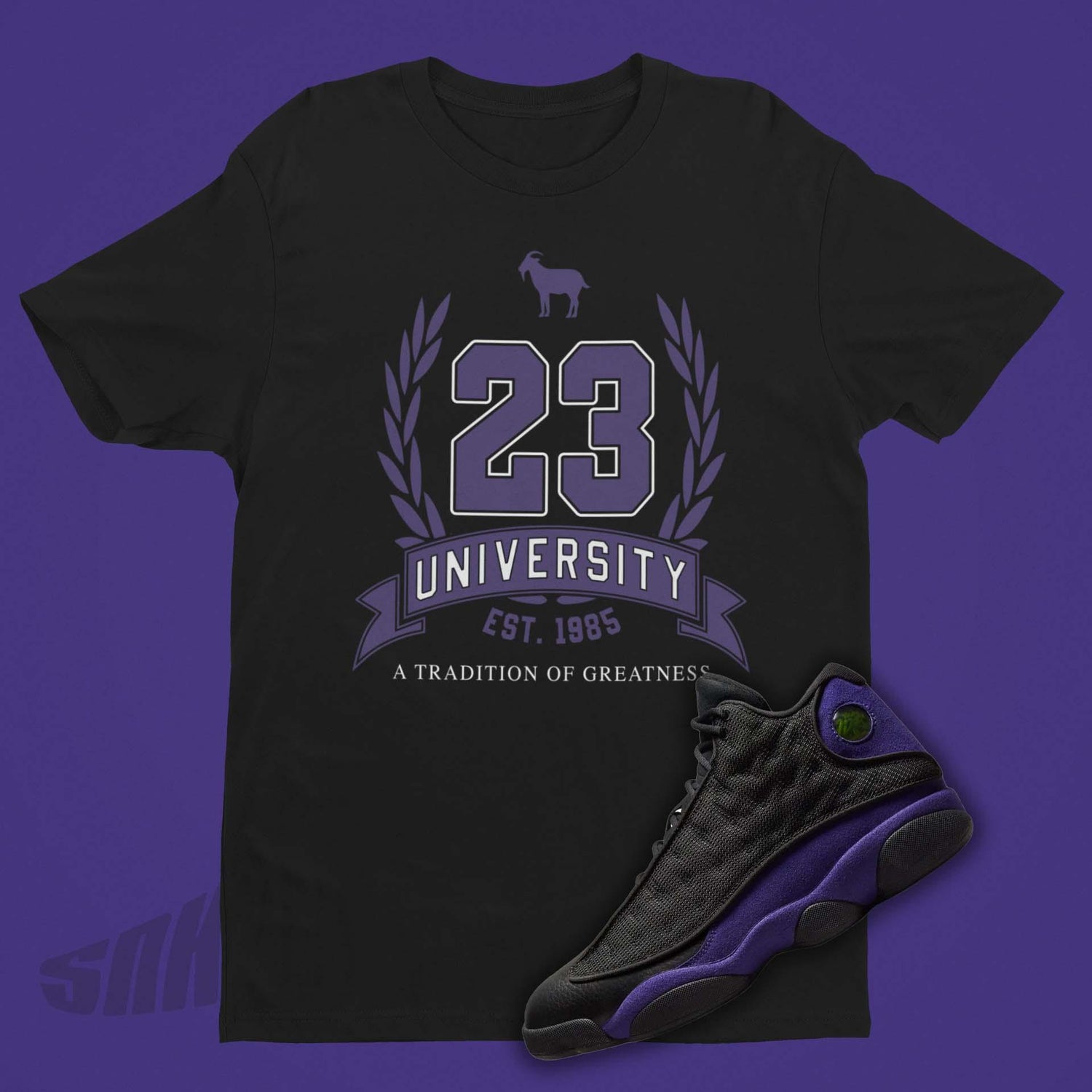 jordan 13 court purple shirt