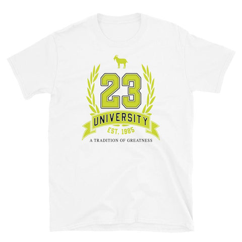 23 University Shirt To Match Air Jordan 1 Visionaire