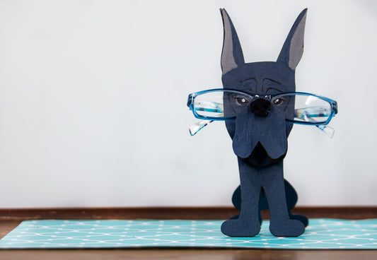 Cat Glasses Holder, Customized Cat Gift, Glasses Holder Animal