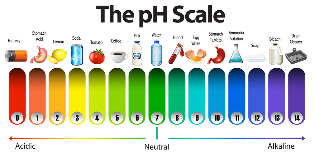 Is Alkaline Water Good For You? Facts About Drinking High pH Water That You Must Know! - Peore