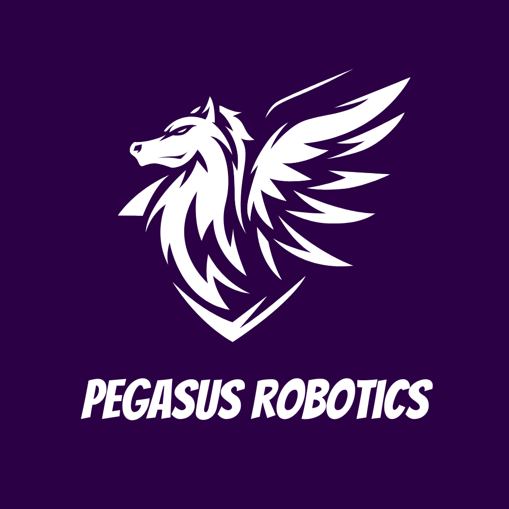 Shipping Service - Pegasus Robotics product image