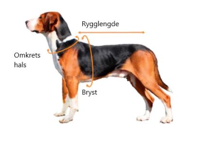 Mål din hund for å finne riktig størrelse på hundegenser