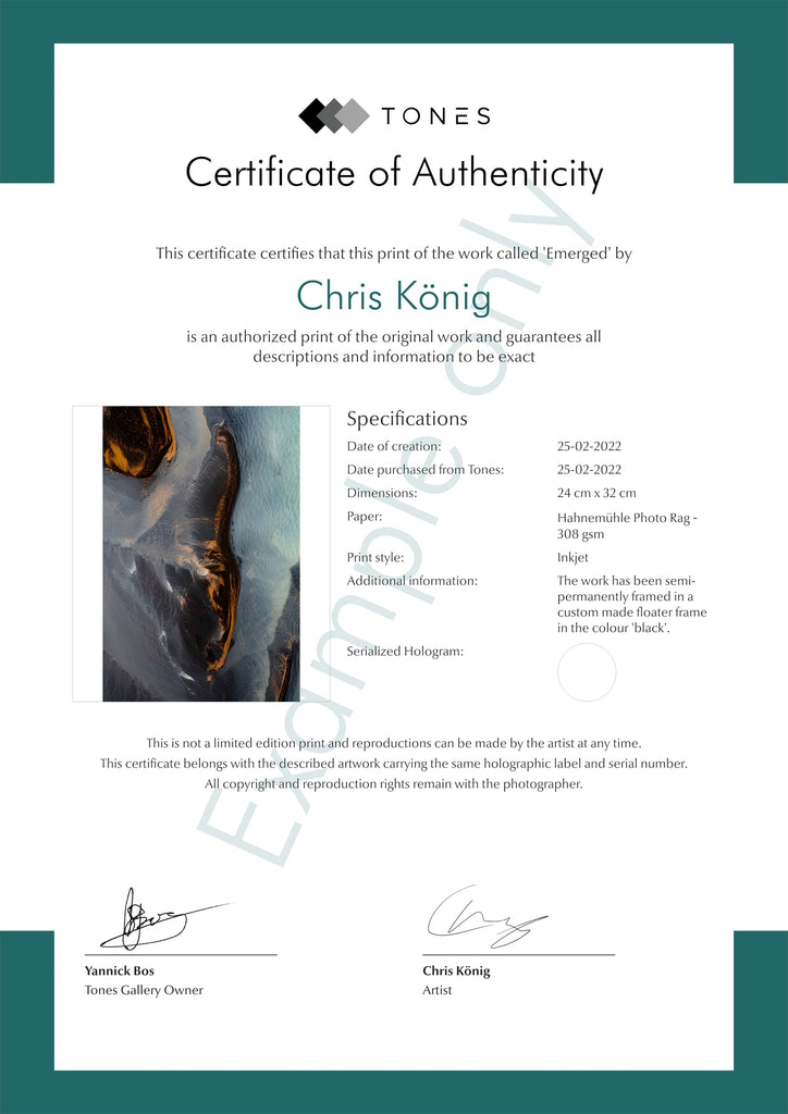 A Certificate of Authenticity: What is it and are they important? – Tones  Gallery