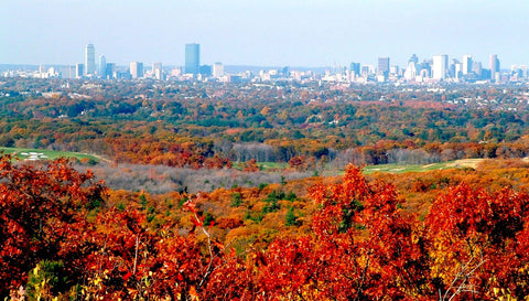 Blue Hills Reservation - Photo from pinterest.com