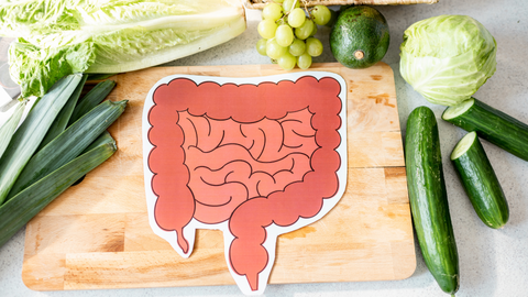 carbohydrate digestion in intestines with images of fresh vegetables and fruit on chopping board