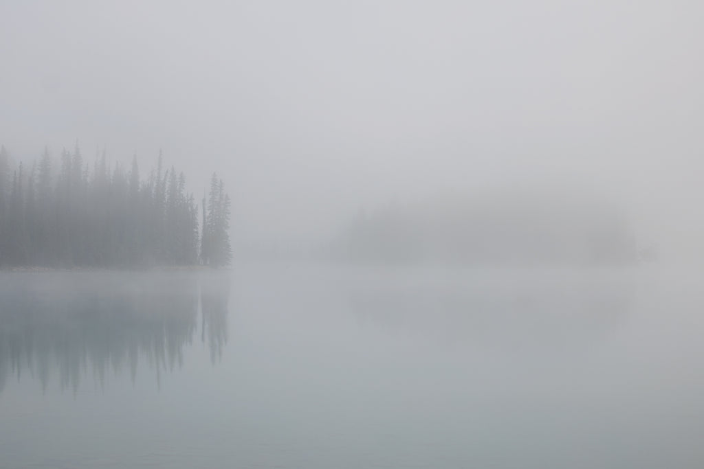 misty lake photo