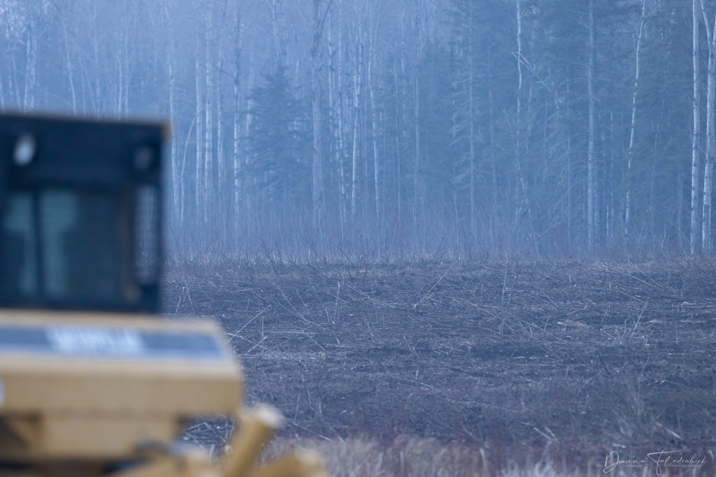 land being bulldozed