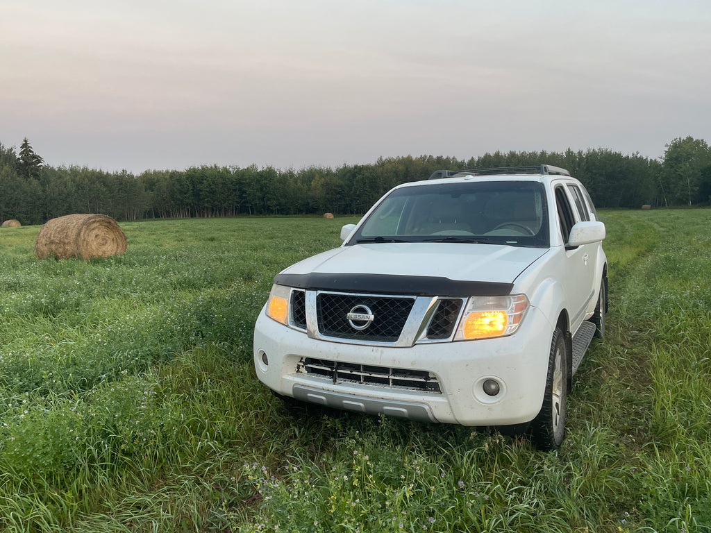 Vehicle in field