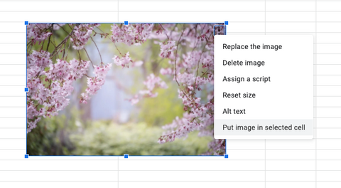 How to move the image to be inside a cell - google sheets tips tutorial