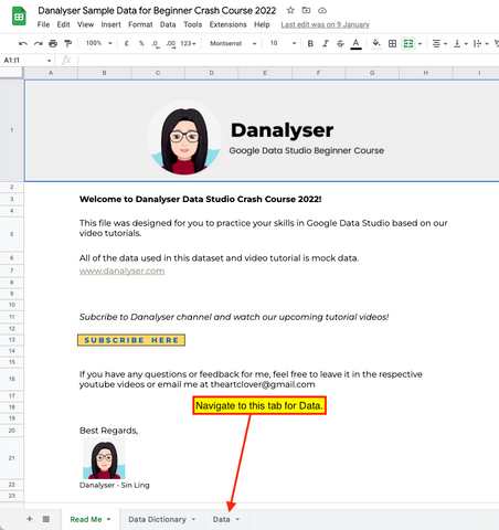 How to Download Free Dataset for Google Data Studio Course (Danalyser)