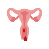 Uterus Bleeding