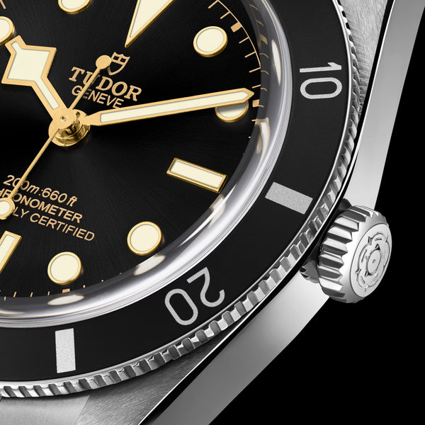 Tudor Black Bay 58 Dial