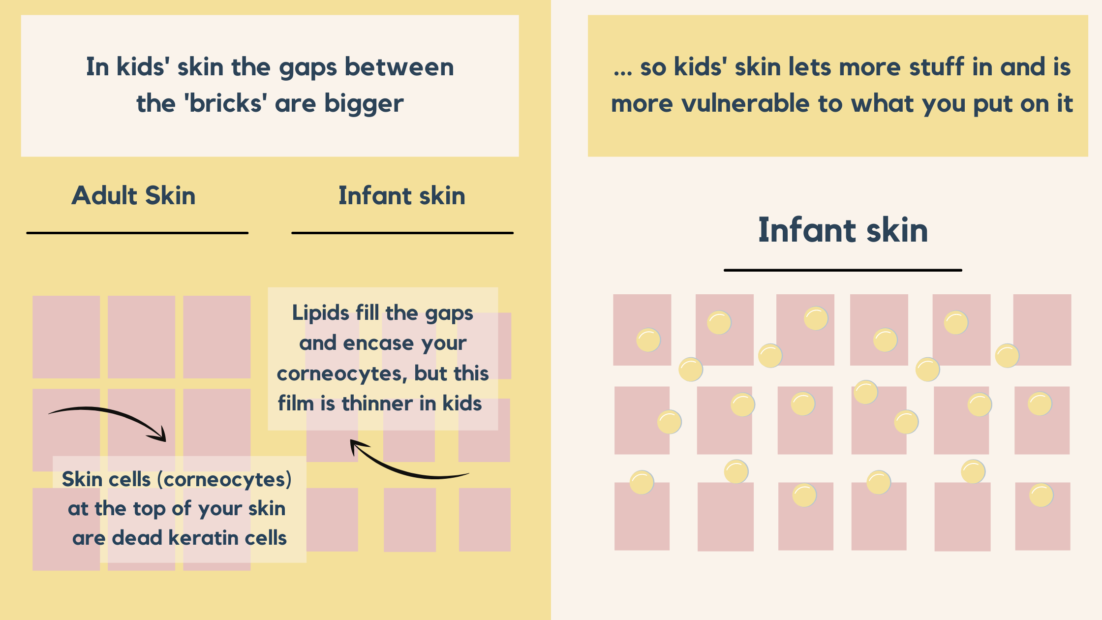 kids' skin is thinner and so more vulnerable to the skincare ingredients we use on their skin