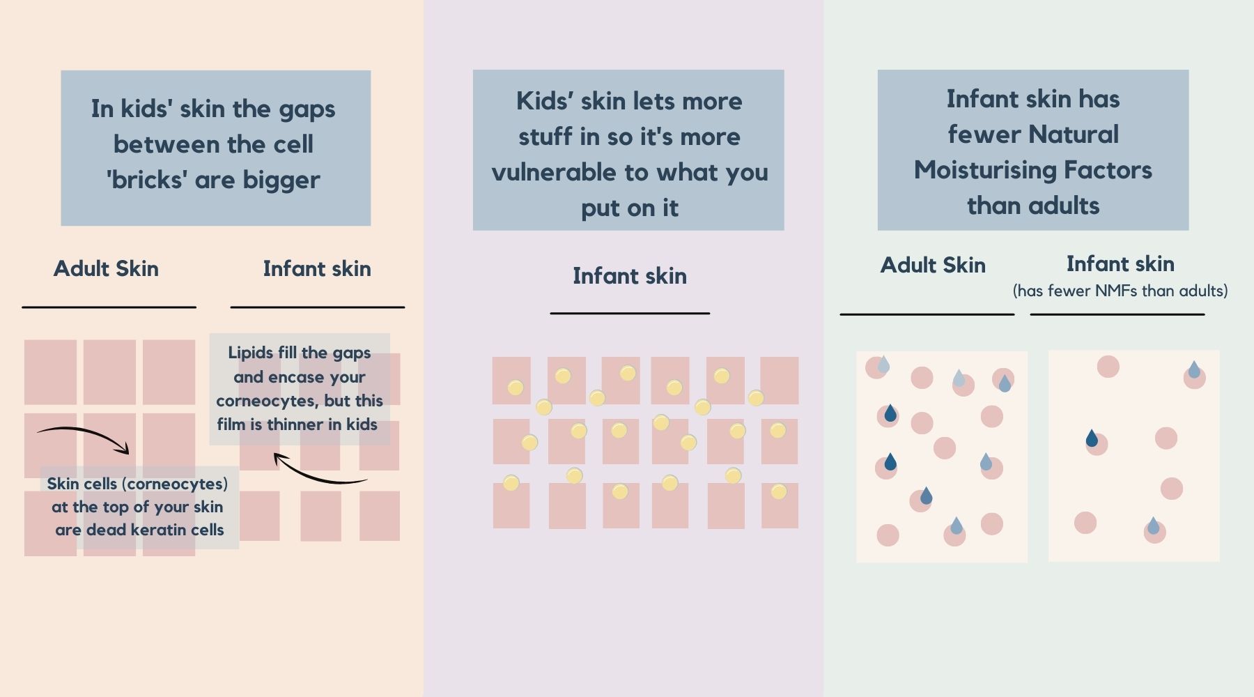 what are the differences between children's skin and adult skin