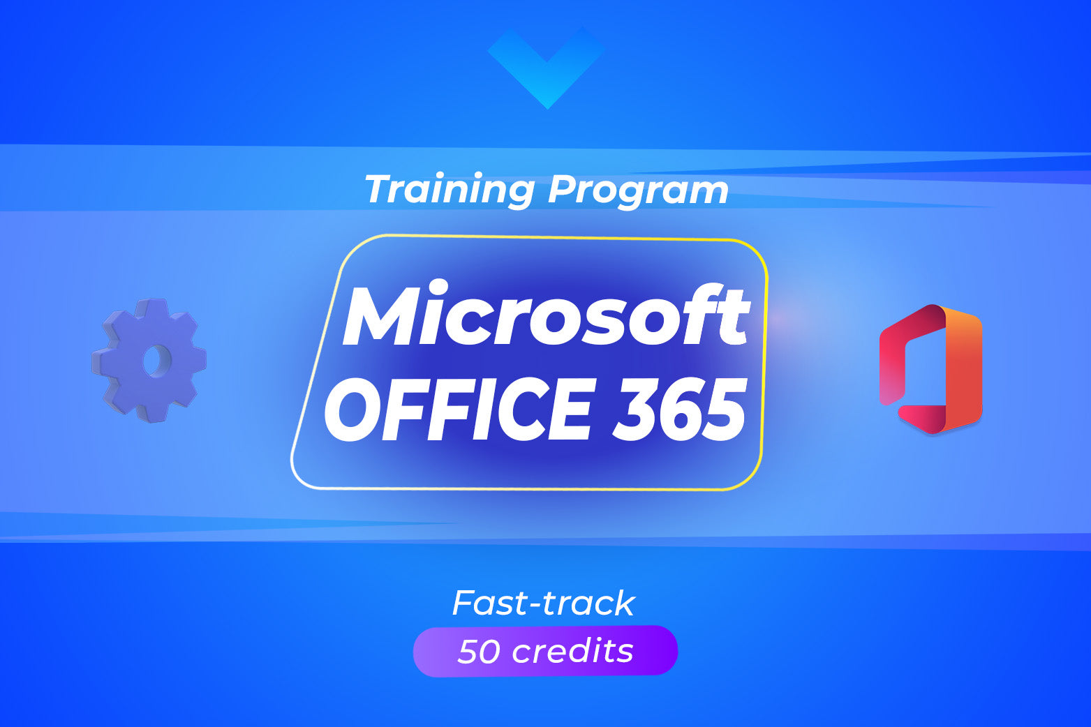 Microsoft Office 365 Training Program